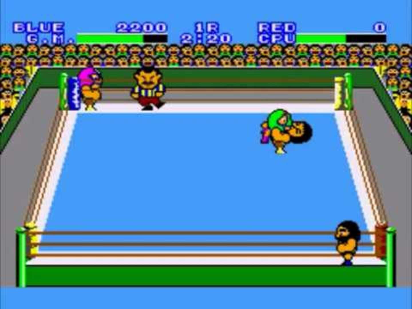 Pro Wrestling screenshot 1