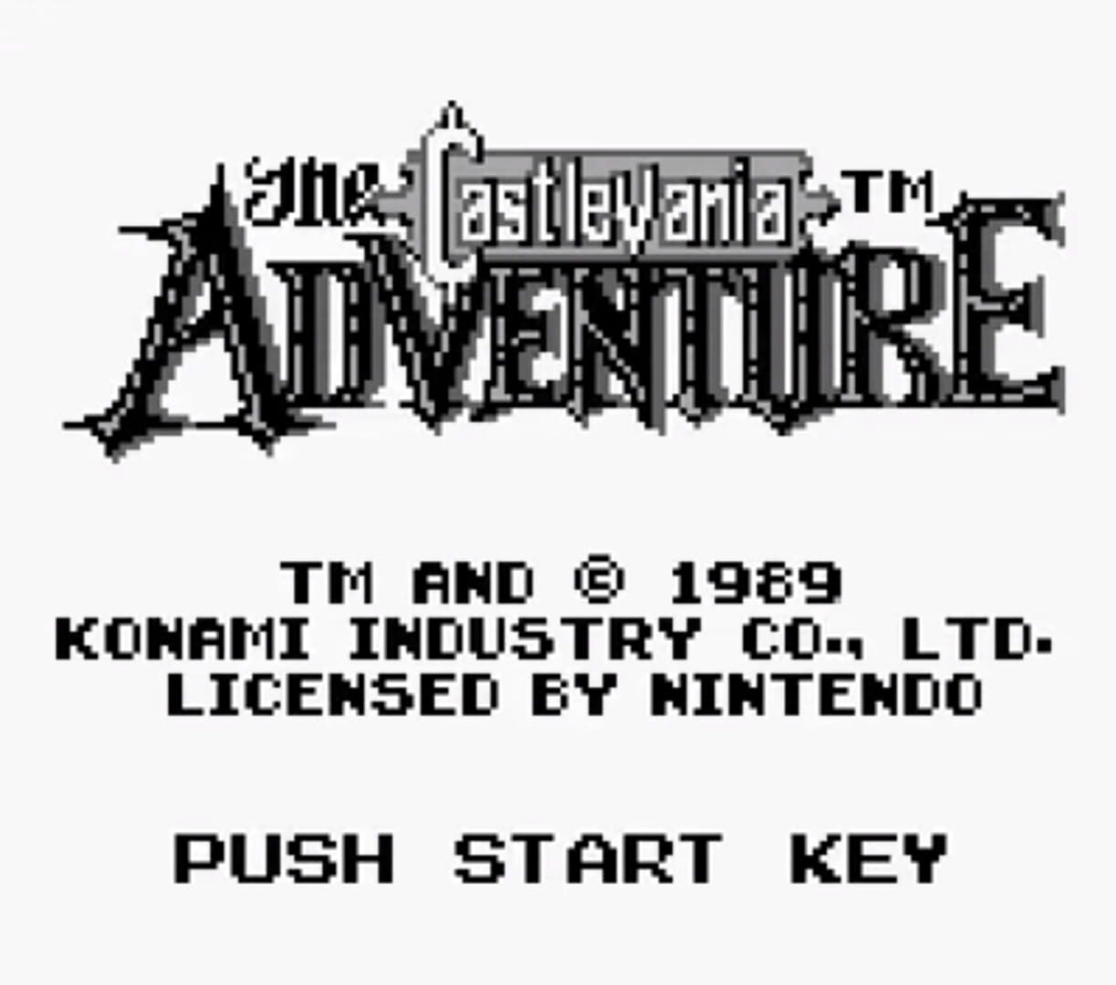 Castlevania: The Adventure screenshot 1