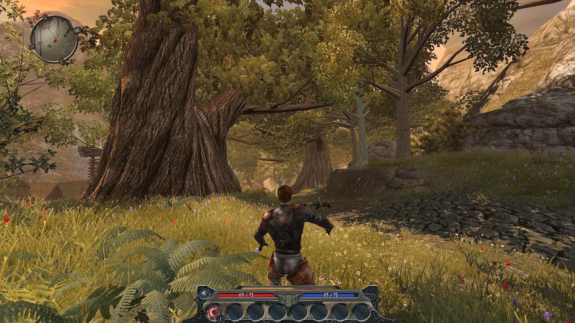 Divinity II: Ego Draconis screenshot 1
