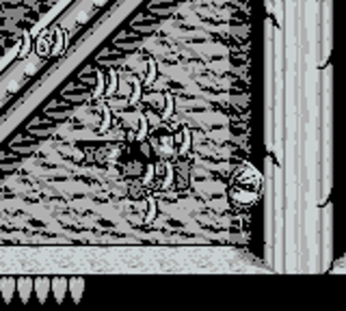 Donkey Kong Land screenshot 1