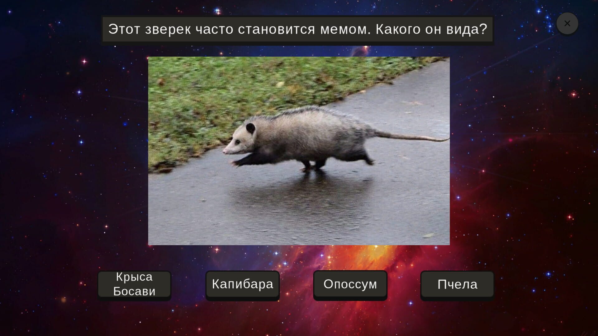 Memology screenshot 1