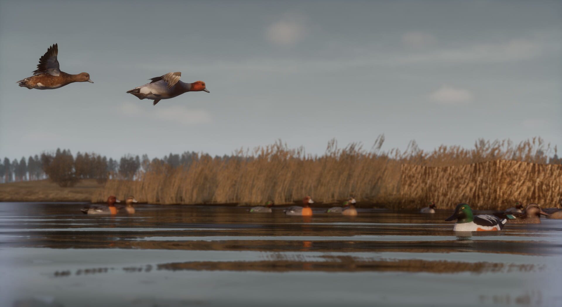 Bult: Hunting Simulator screenshot 1