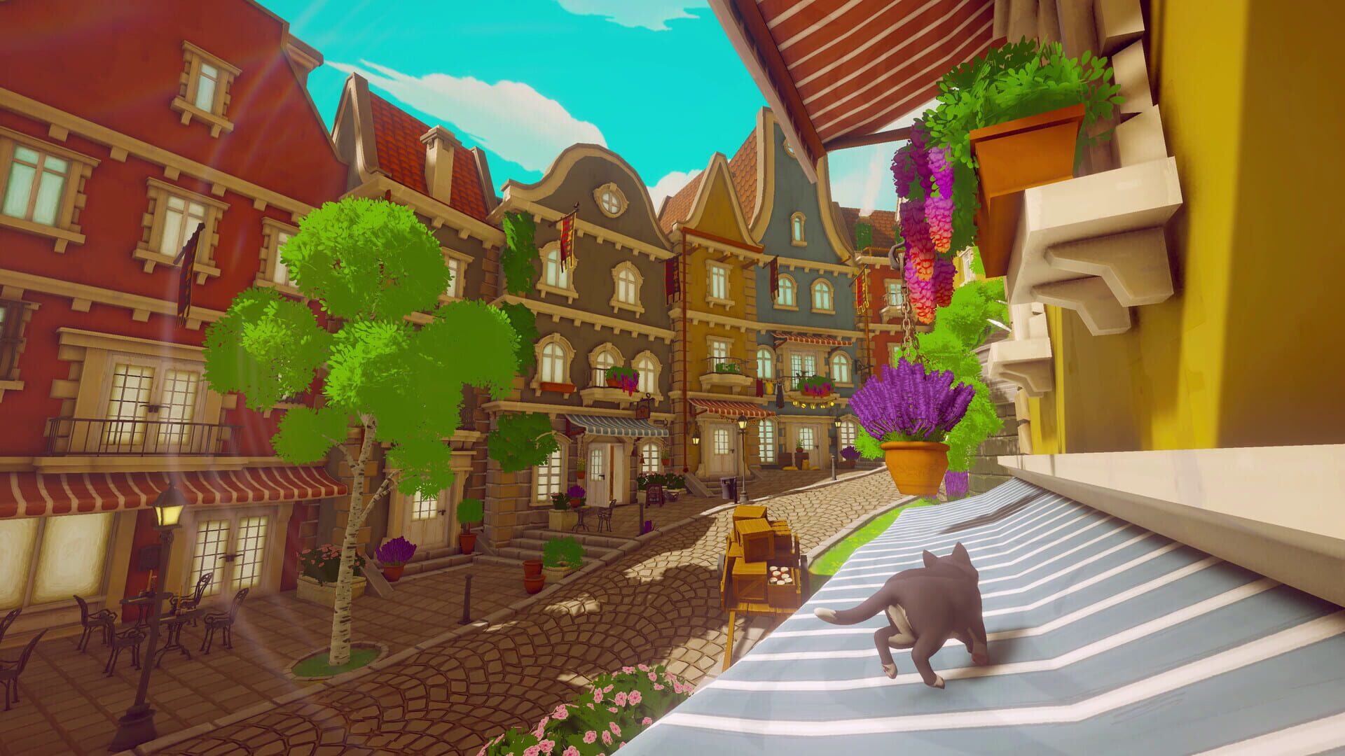 Pawbay screenshot 1