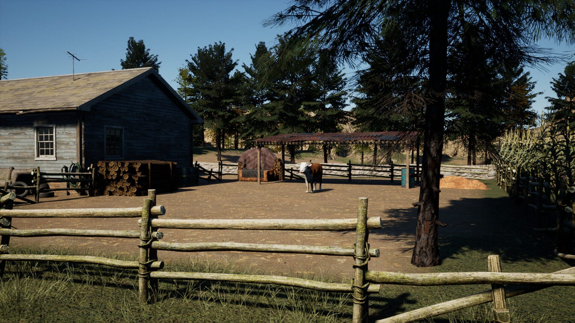 The Witch and the Lost Babies screenshot 1