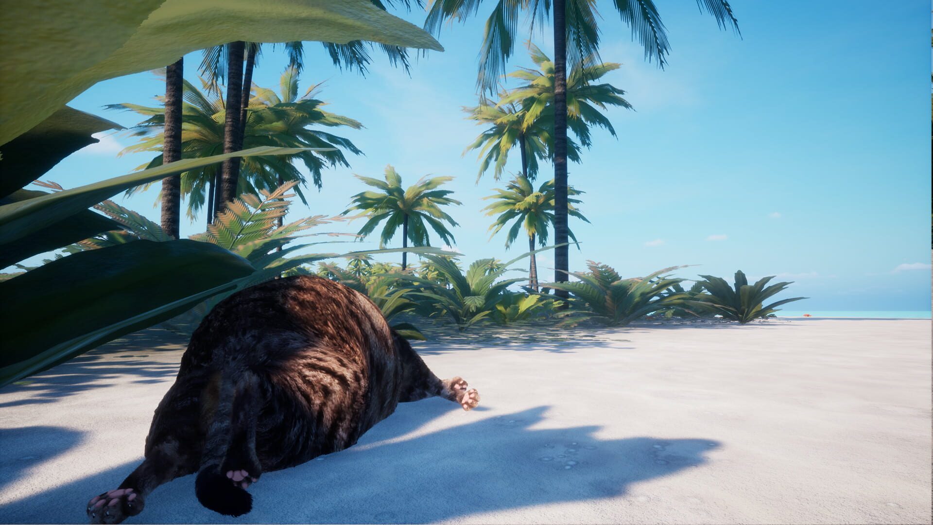 Chonky Cat screenshot 1
