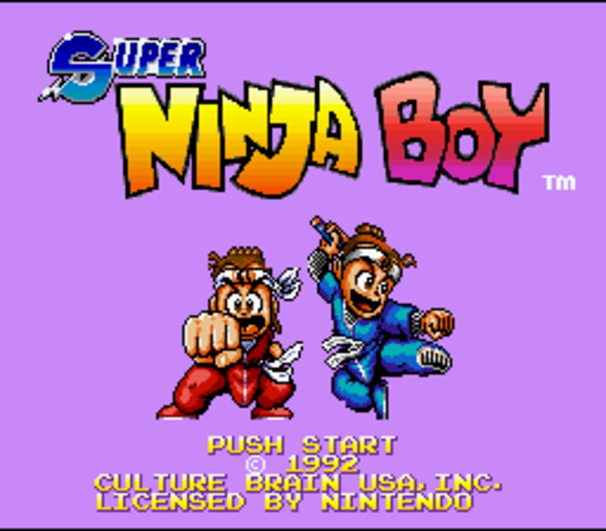 Super Ninja Boy screenshot 1