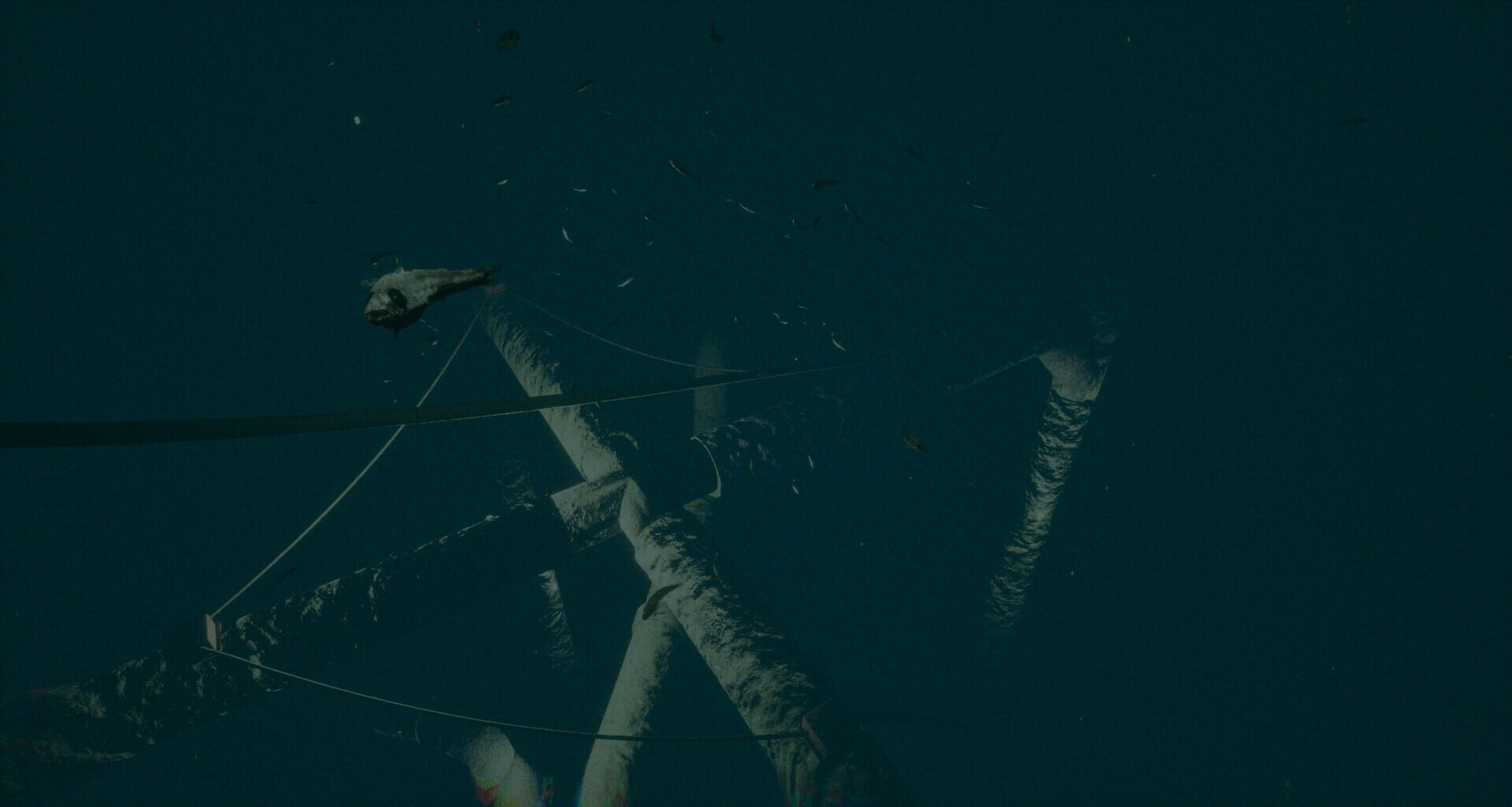Dark of the Depths screenshot 1