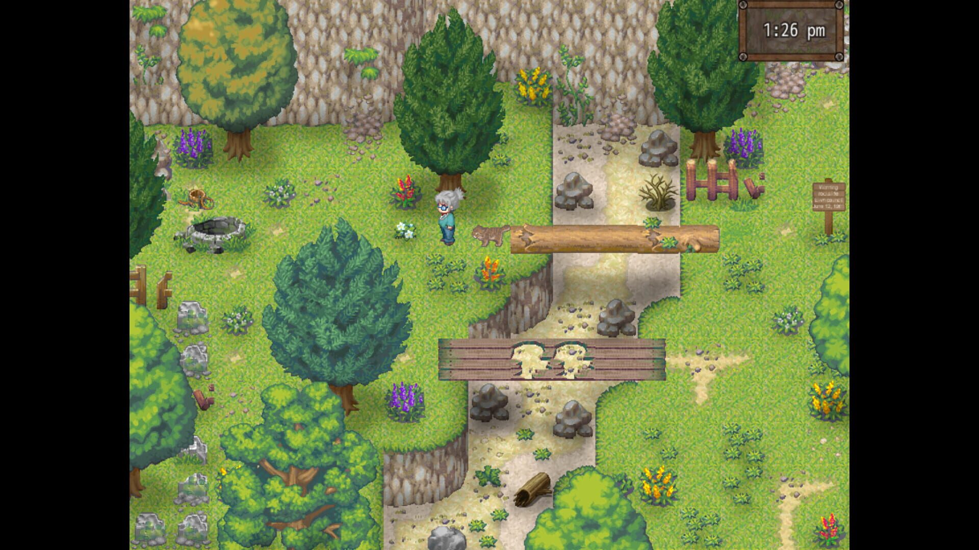 Cat Crazy screenshot 1
