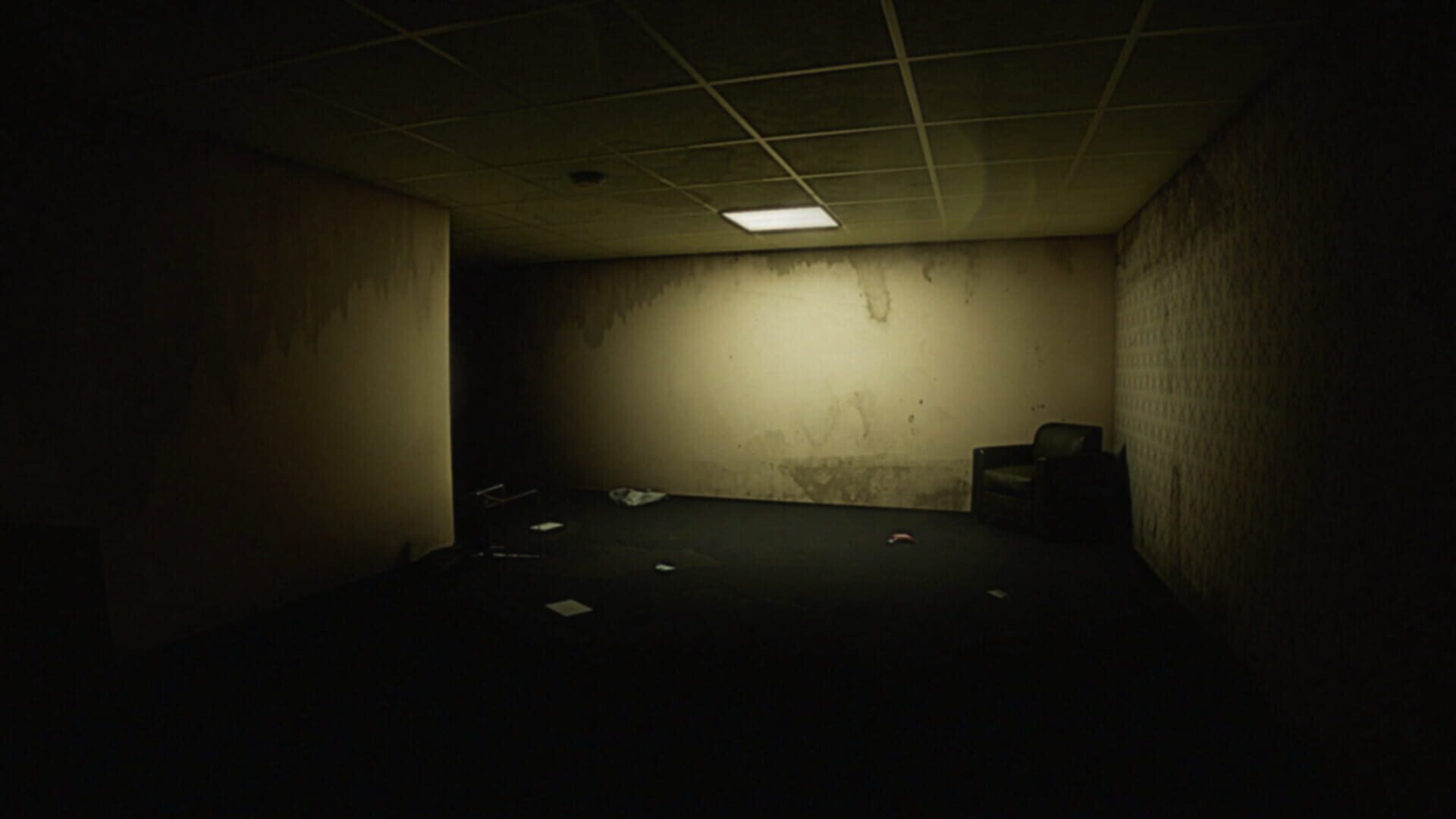 The Edge of the Backrooms screenshot 1