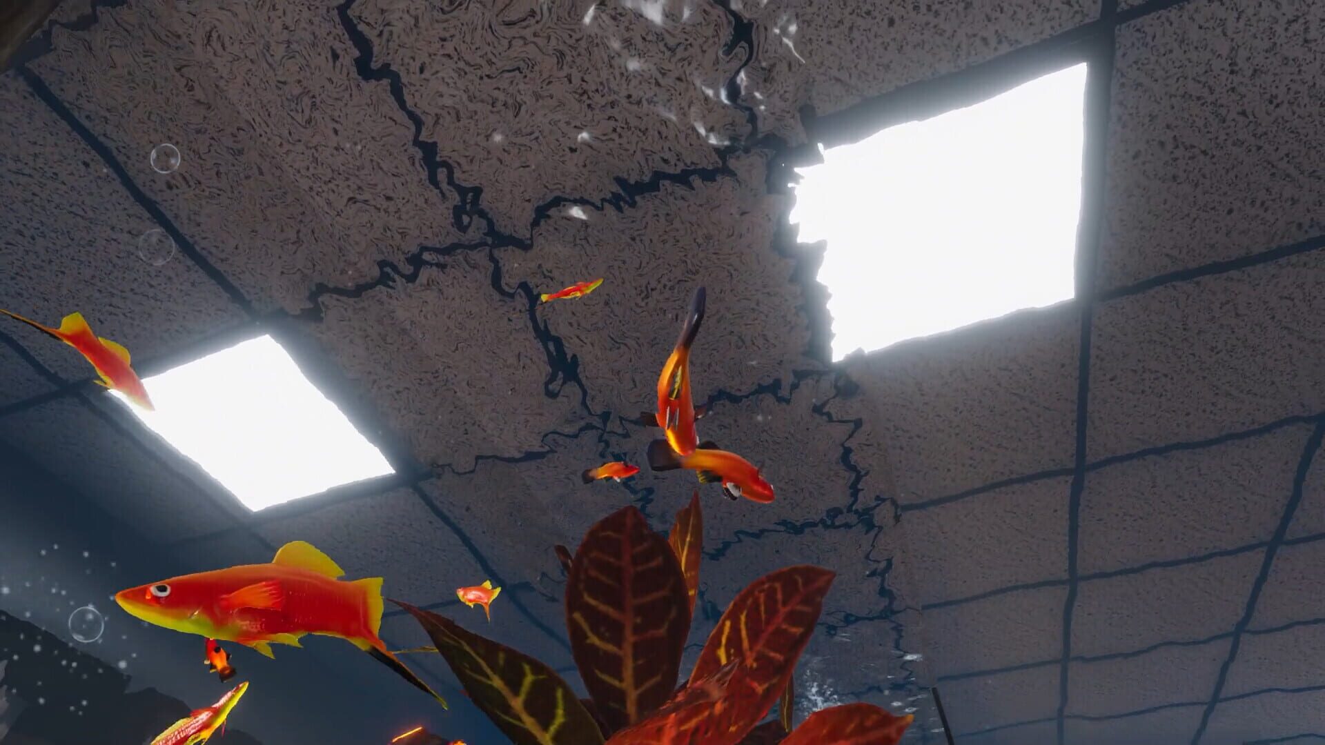 Aquarist: American Fish DLC screenshot 1