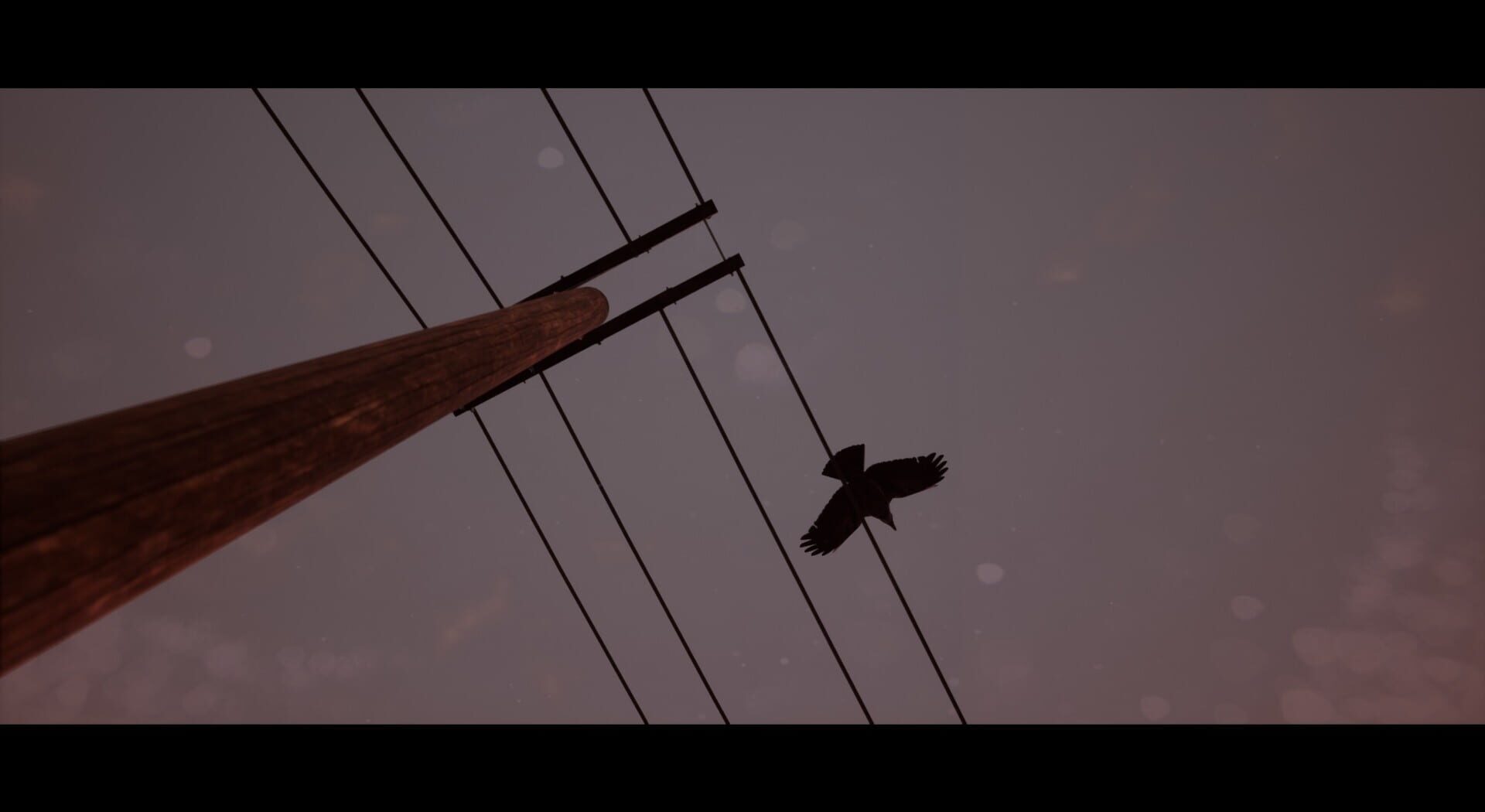 Of Bird and Cage screenshot 1