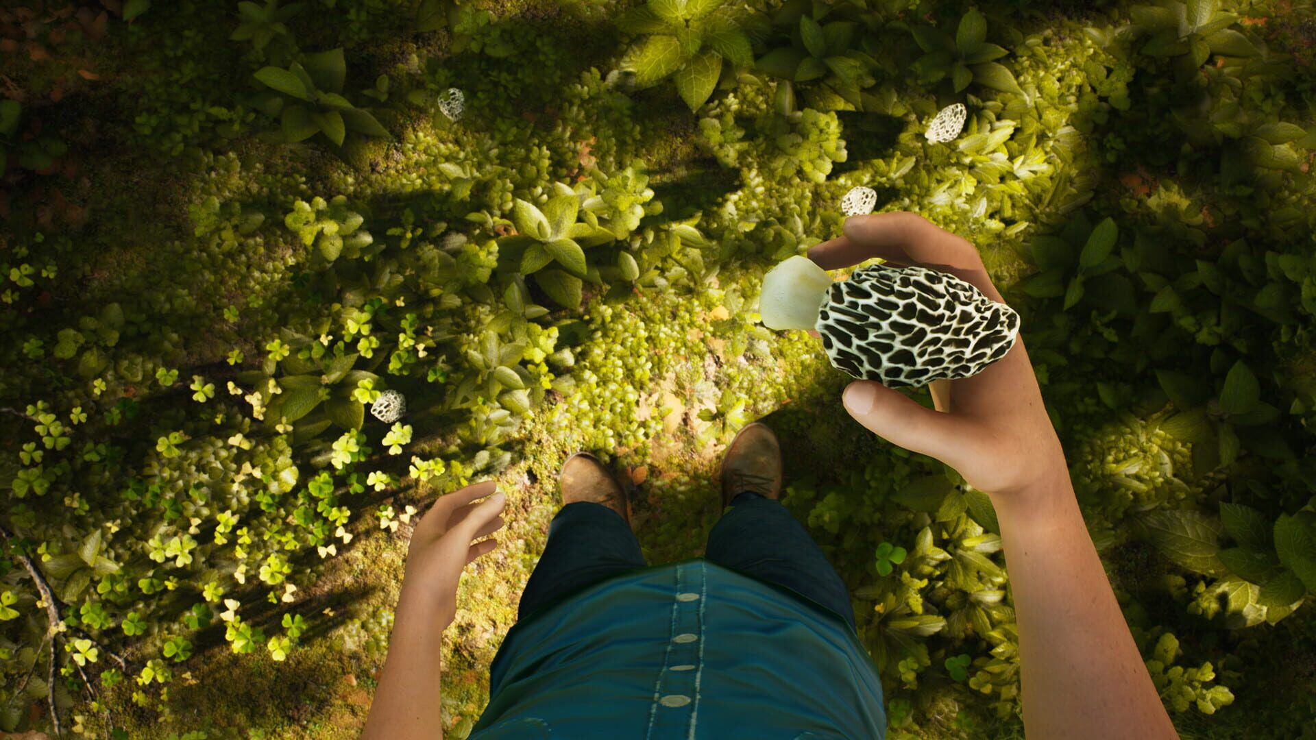 Morels: The Hunt screenshot 1