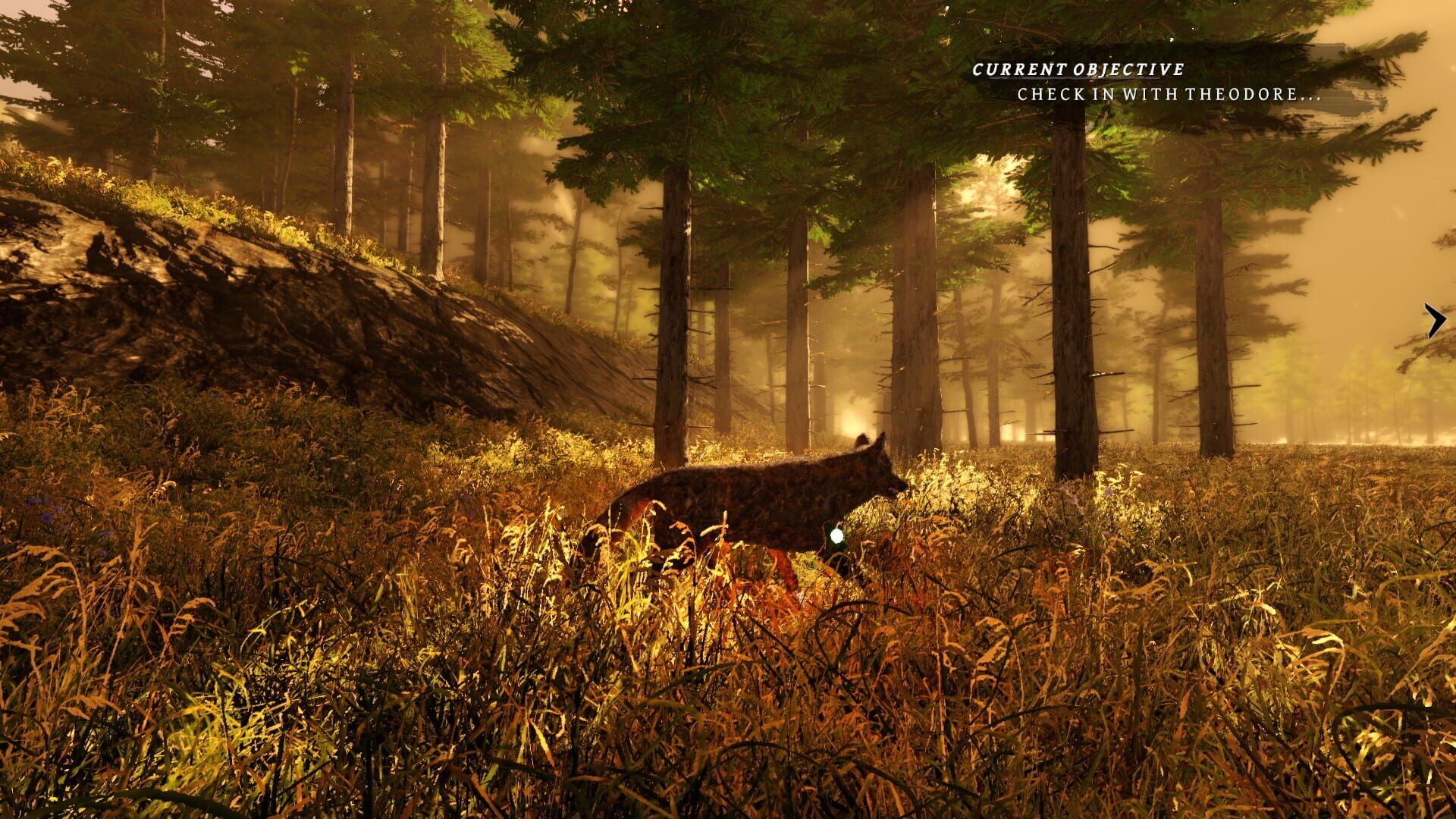 Tale of a Wolf screenshot 1