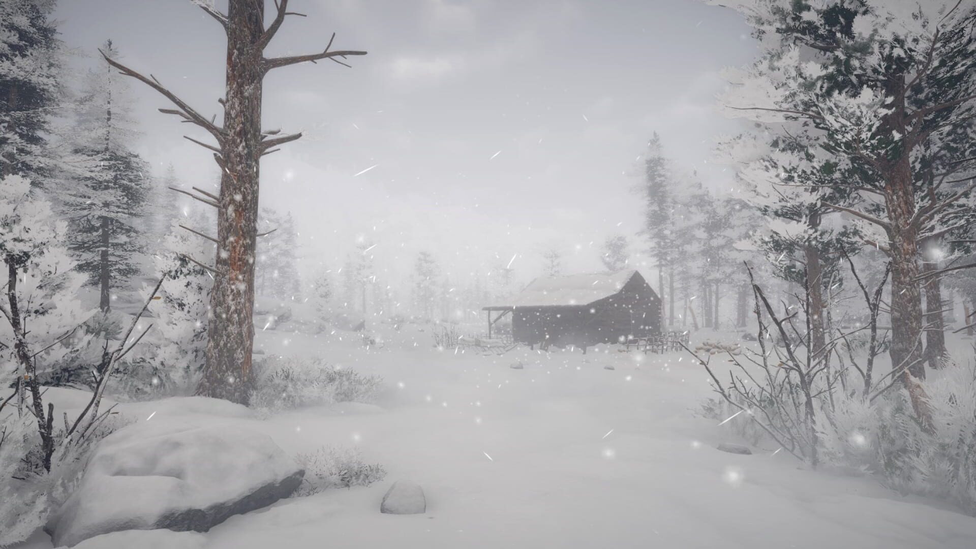 Northern Lights screenshot 1