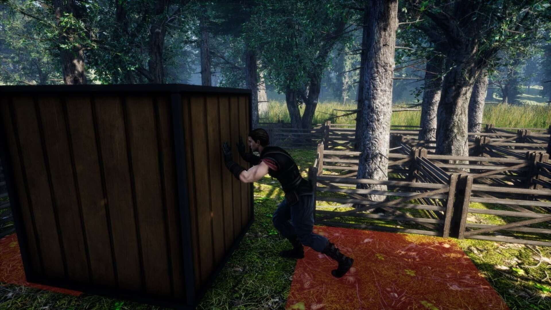 Push the Crate screenshot 1