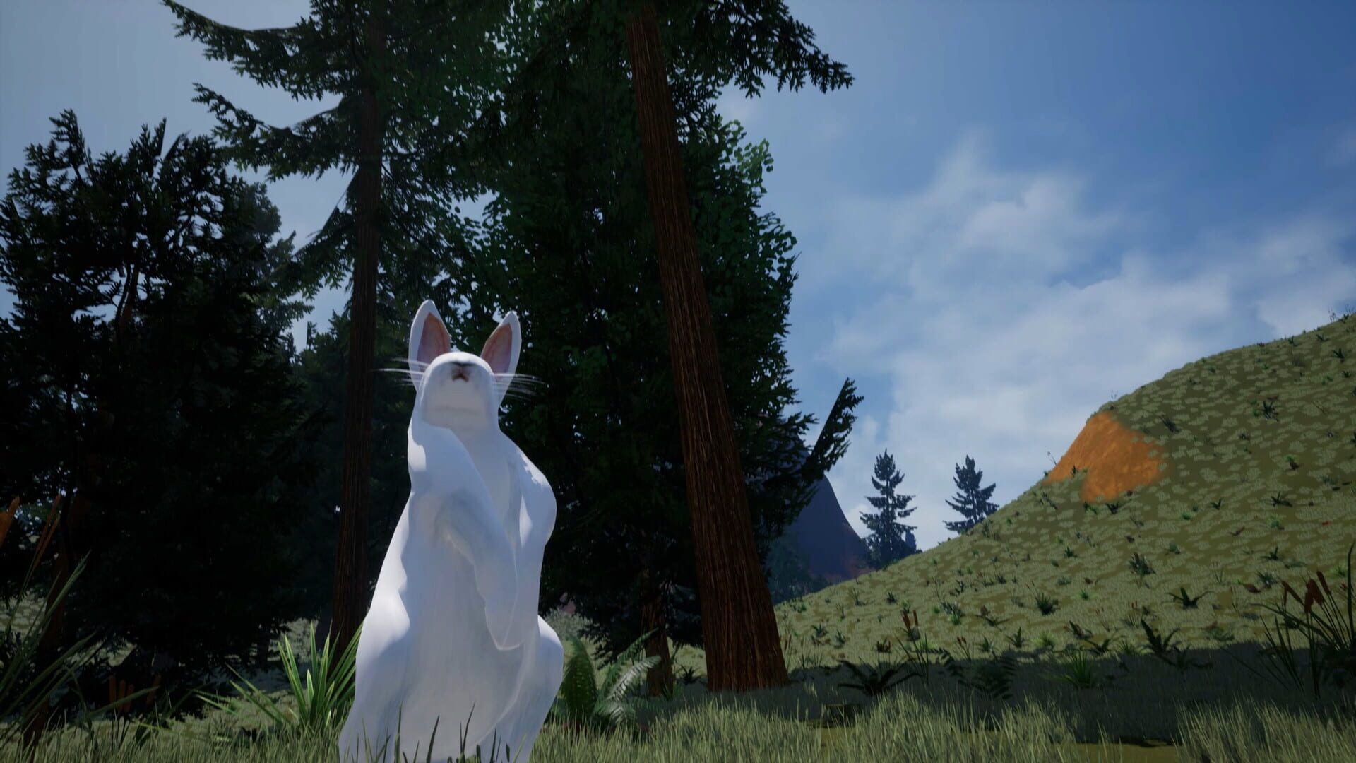 Bunny's Buddy screenshot 1