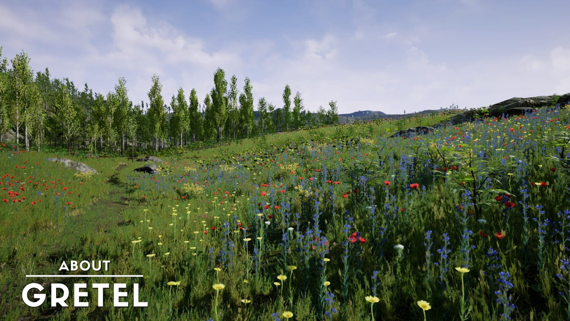 About Gretel screenshot 1