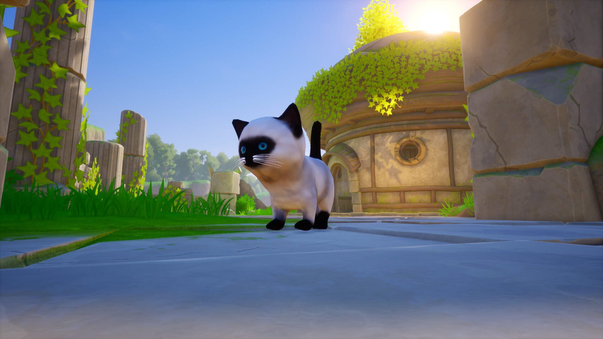 Cat Go! Ultimate Challenge screenshot 1