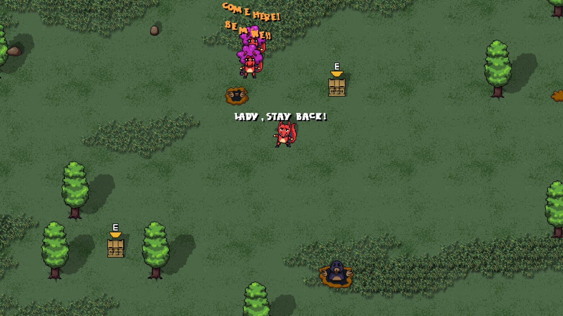 Squirrel Divorce screenshot 1