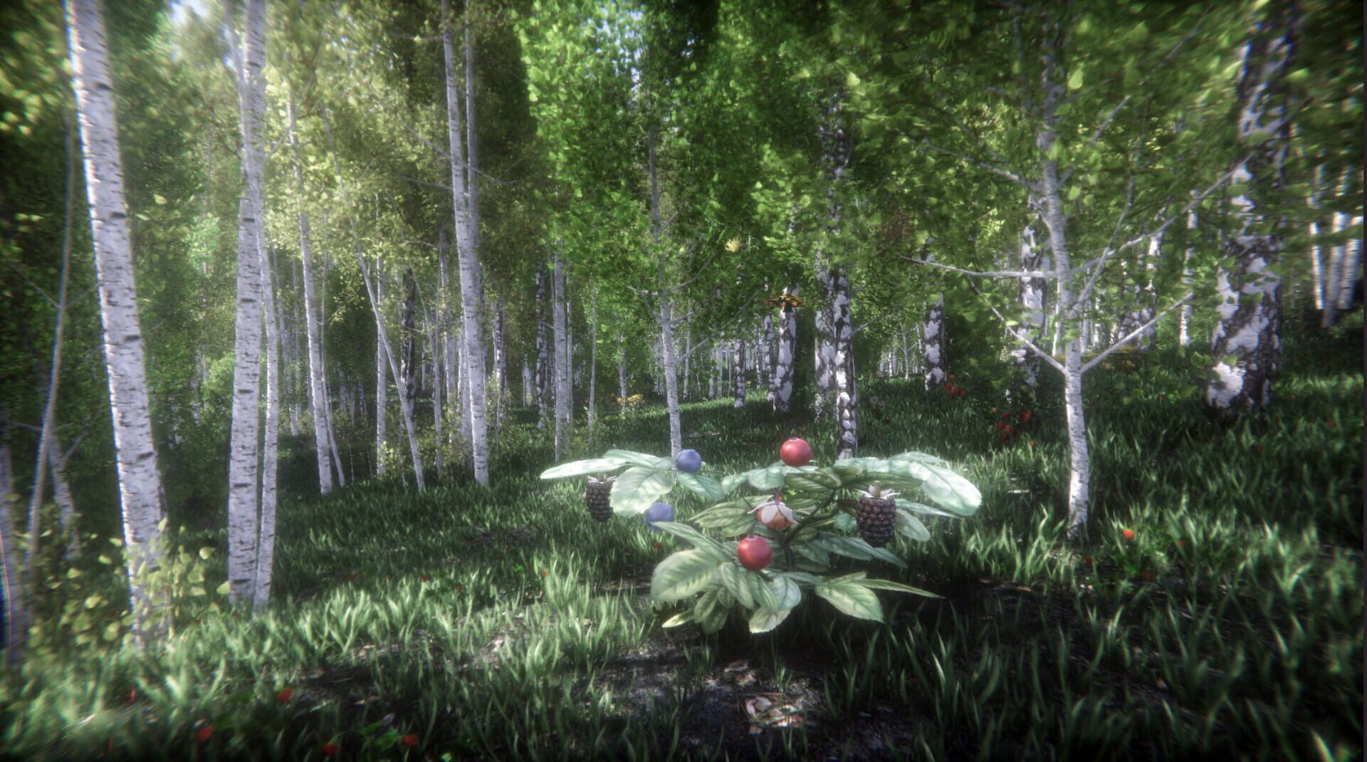 Berries Challenge screenshot 1