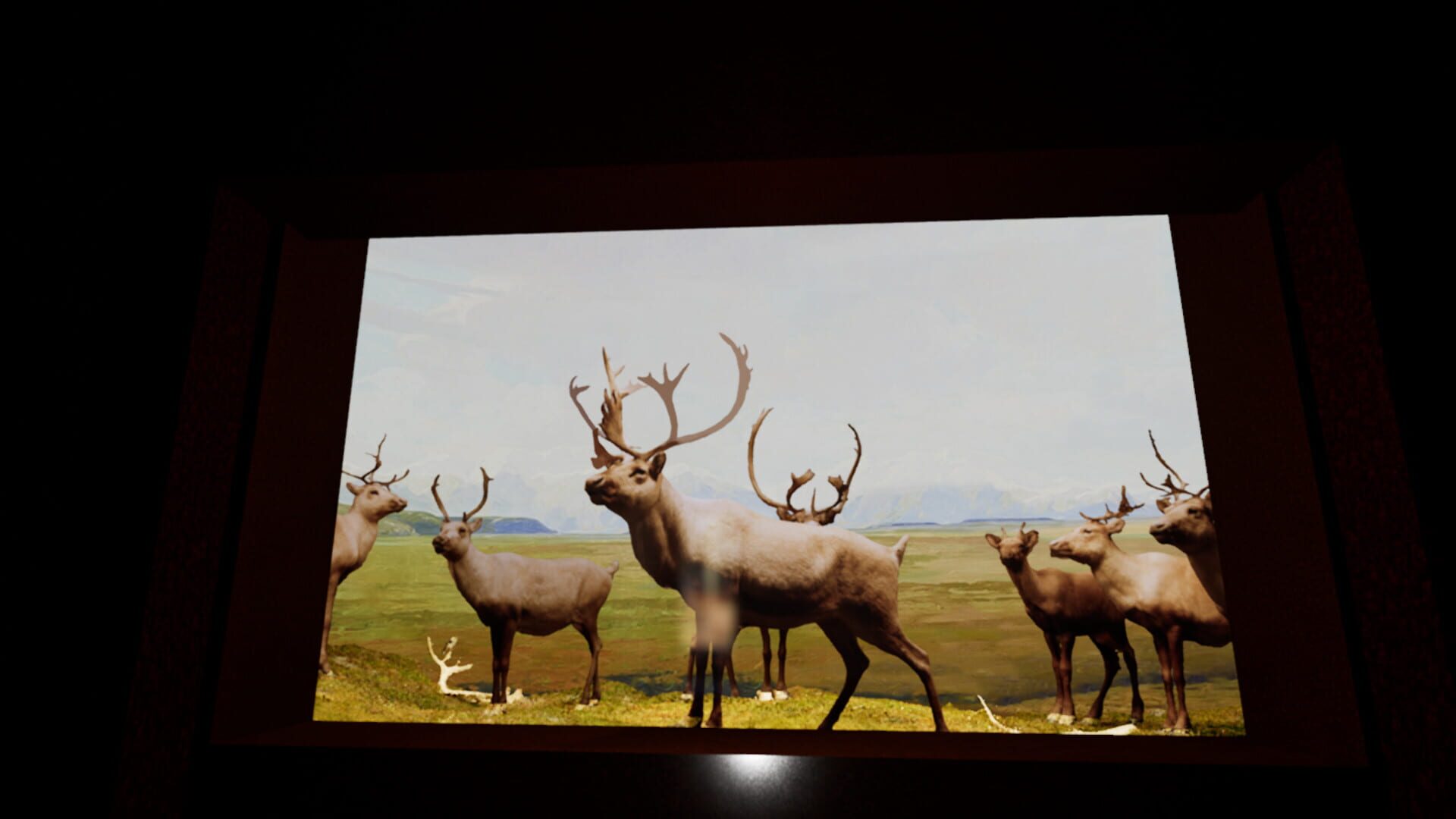 Beyond the Diorama: Caribou World screenshot 1