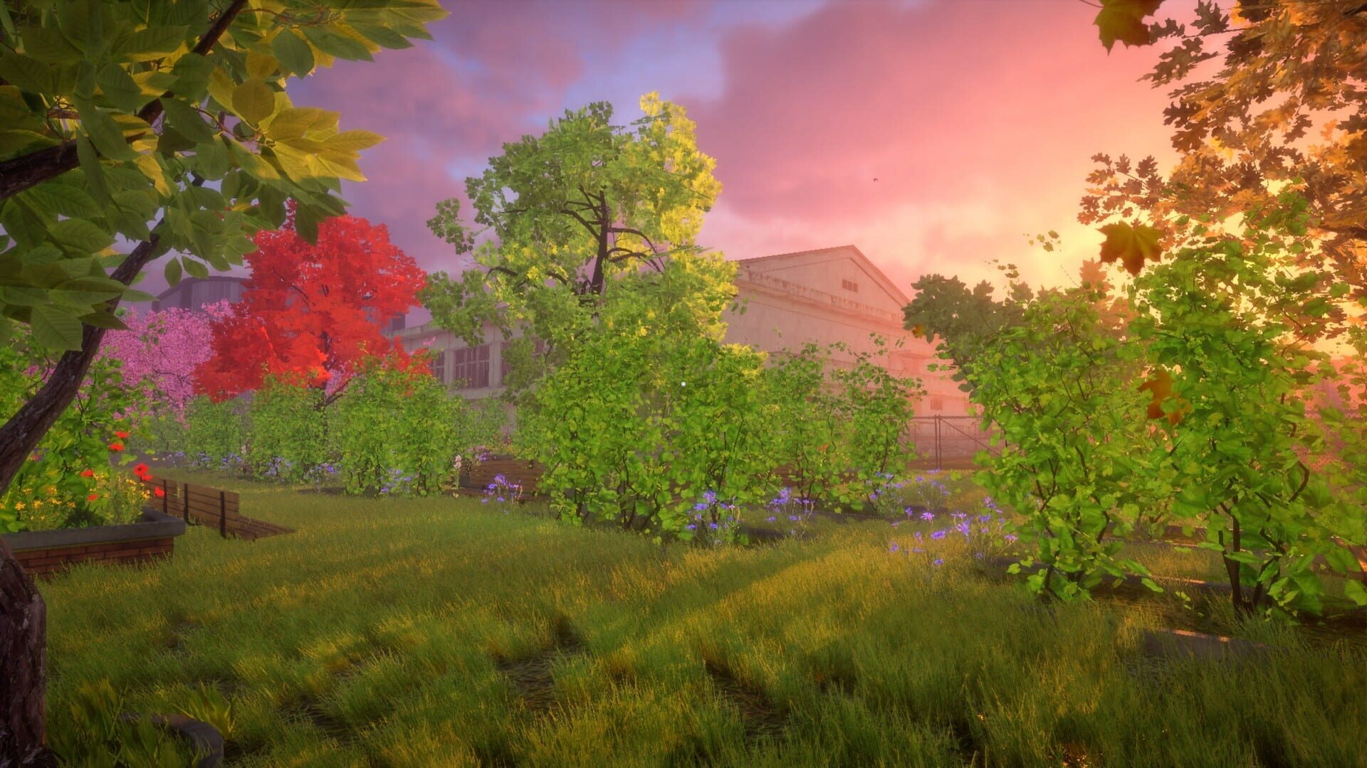 The Dream is Coming... screenshot 1