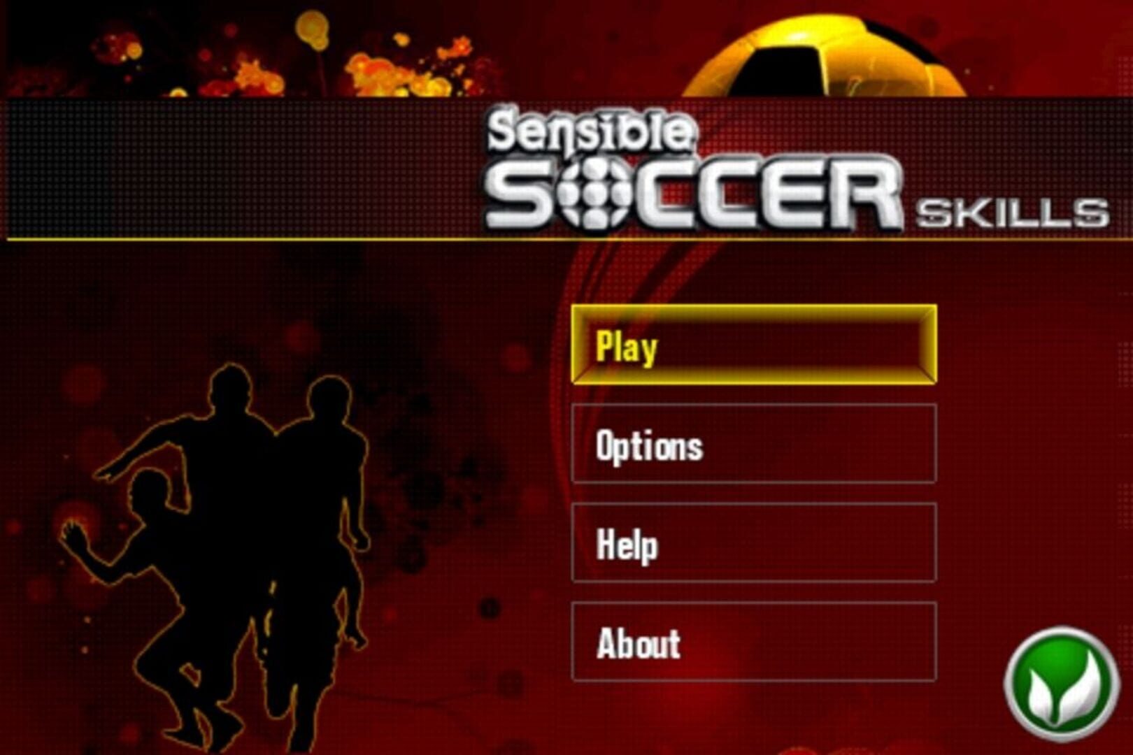 Sensible Soccer Skills screenshot 1