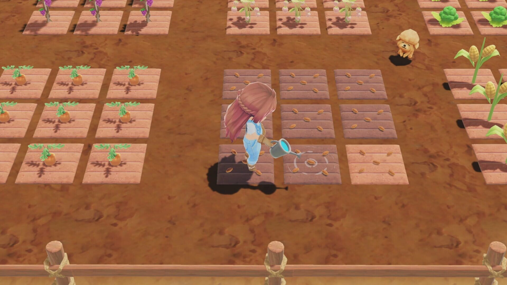 A New Leaf: Memories screenshot 1