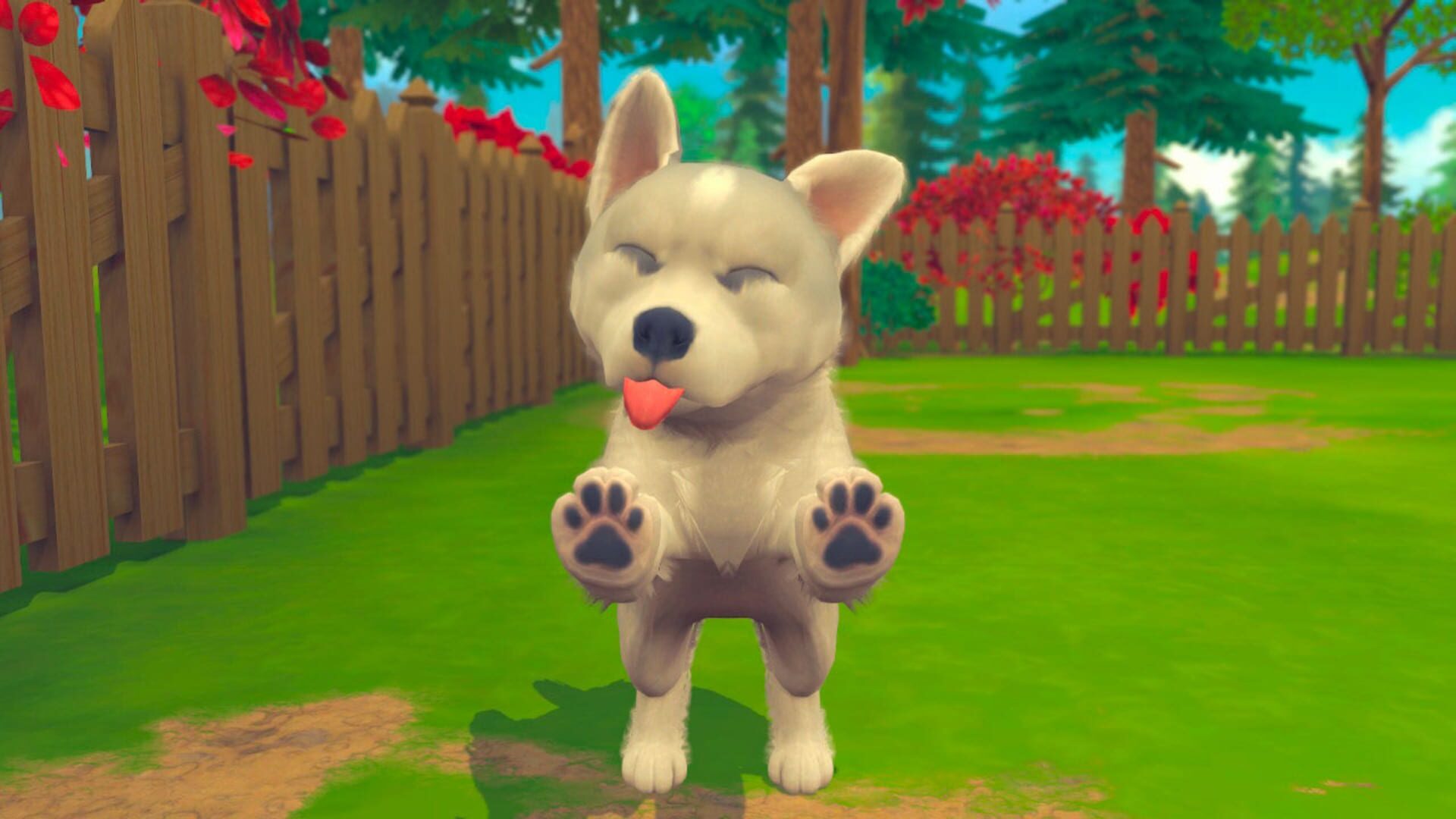 My Universe: Puppies and Kittens screenshot 1