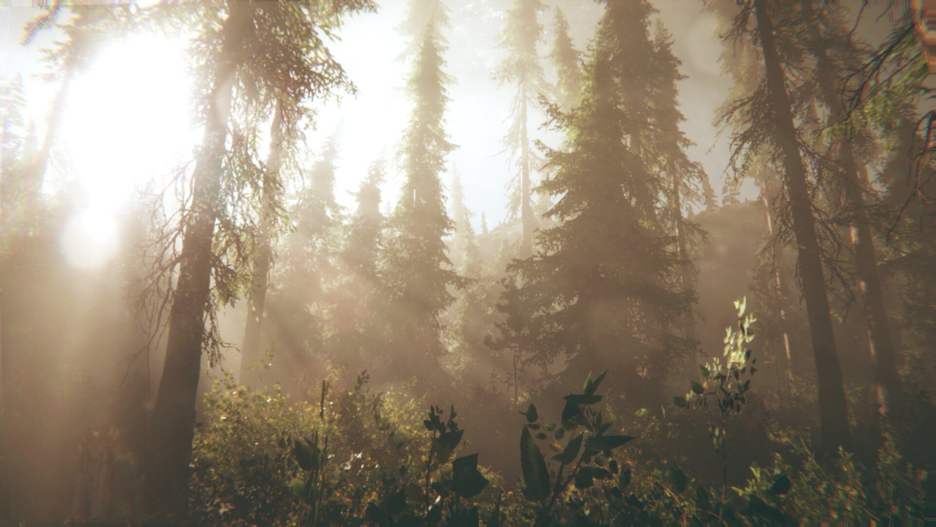 Rot: Purgatory Hill screenshot 1