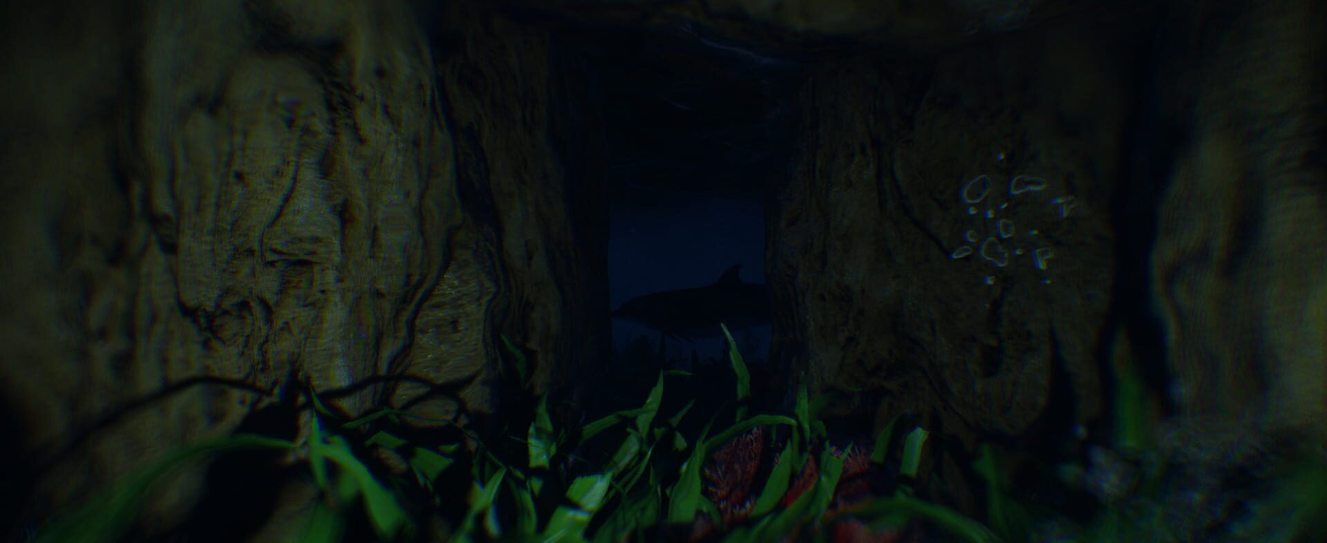 Iruka Iru Ka screenshot 1