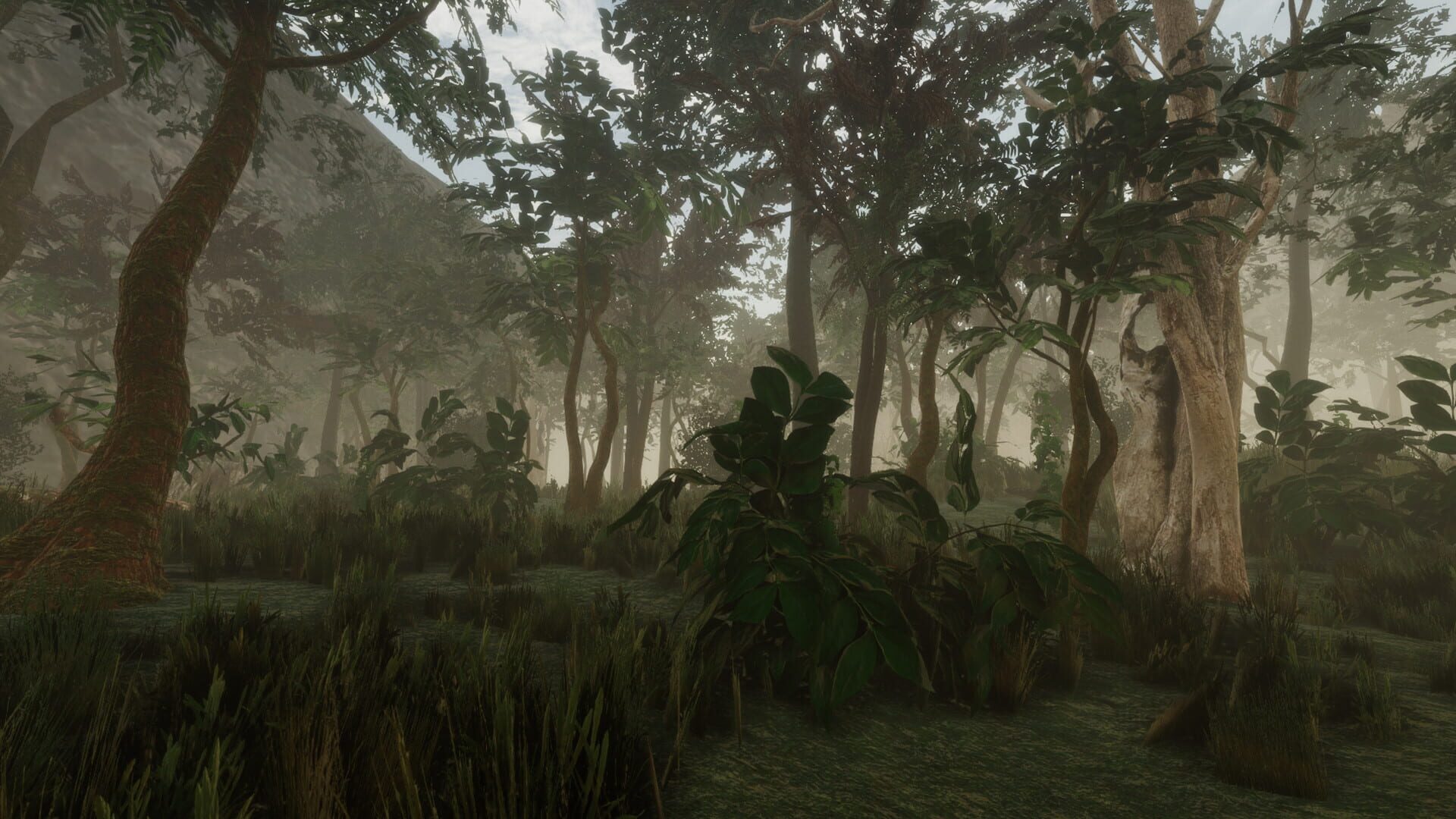 Forest screenshot 1