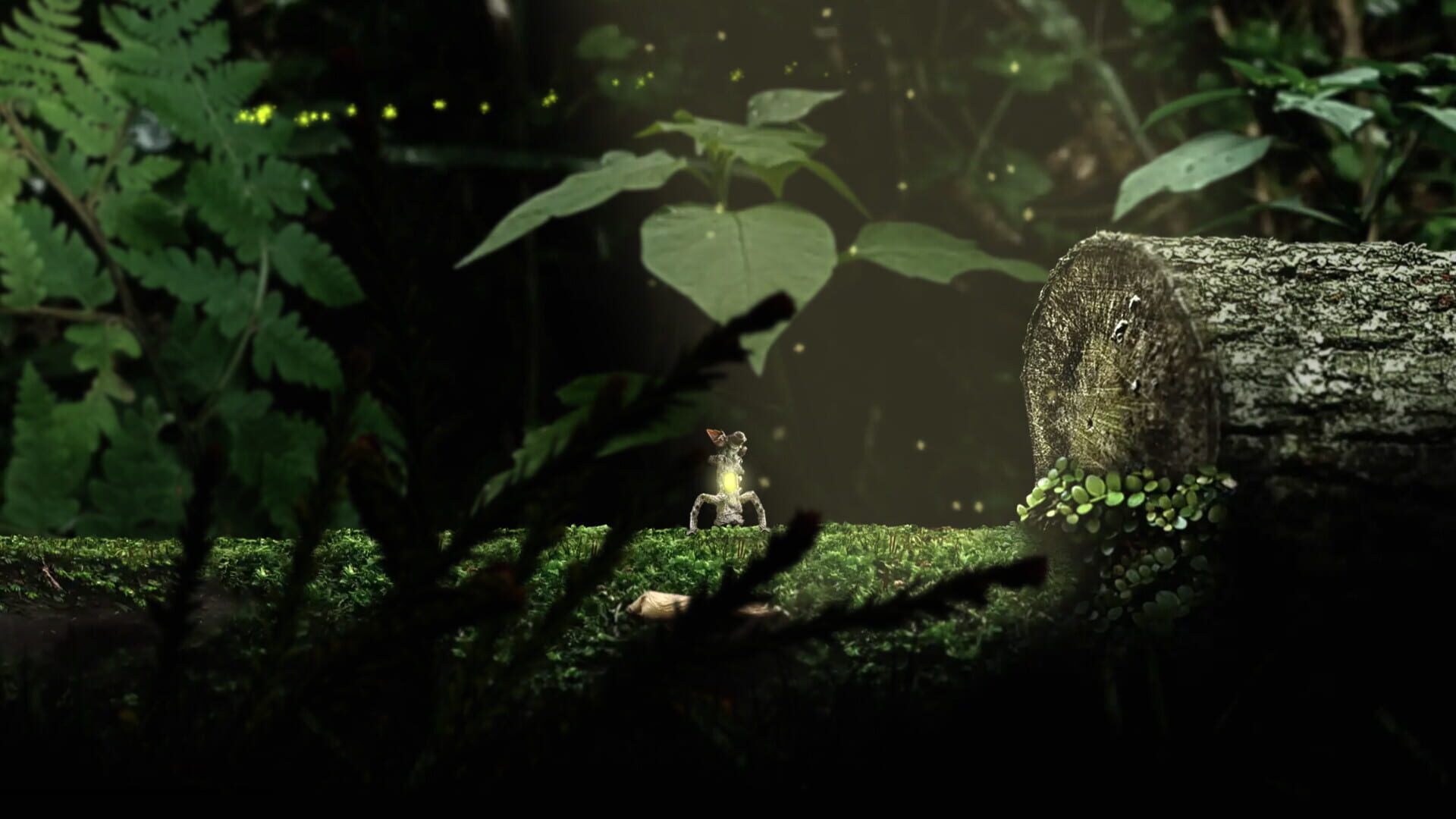 Seedlings screenshot 1