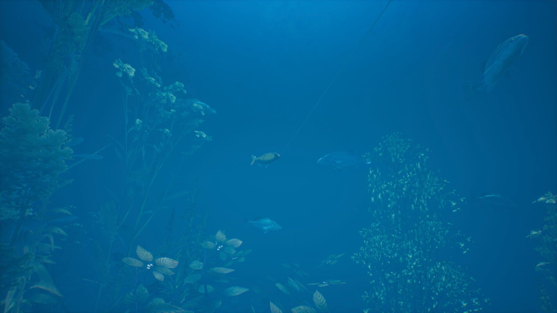 Bassmaster Fishing 2022: Lake Hartwell screenshot 1