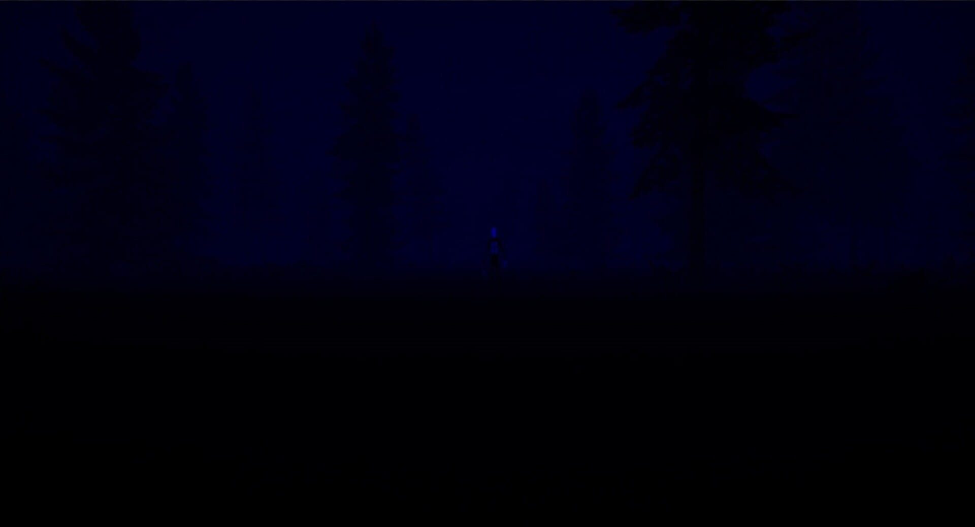 Slender: The Eight Pages - Remake screenshot 1