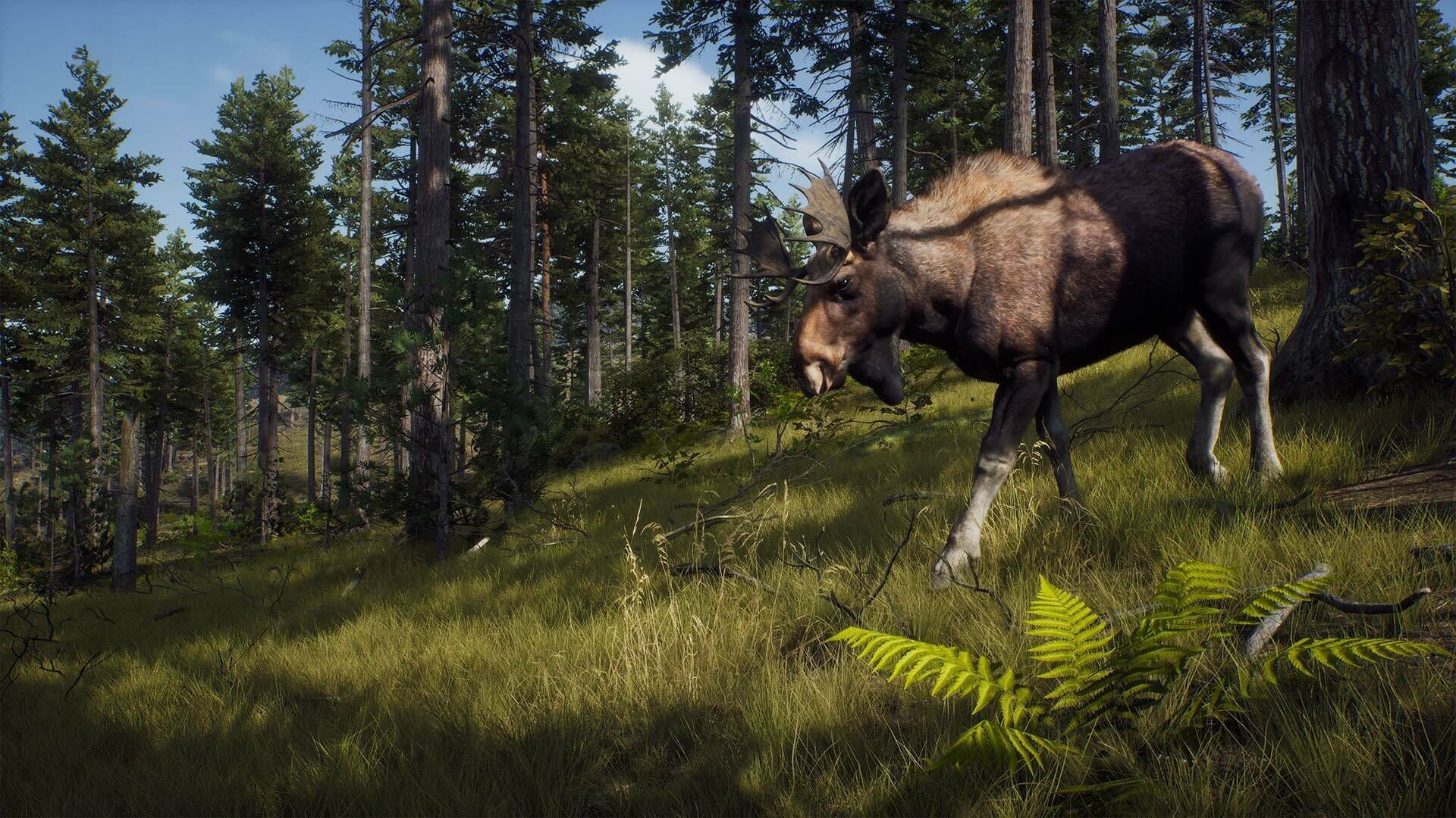 Way of the Hunter screenshot 1