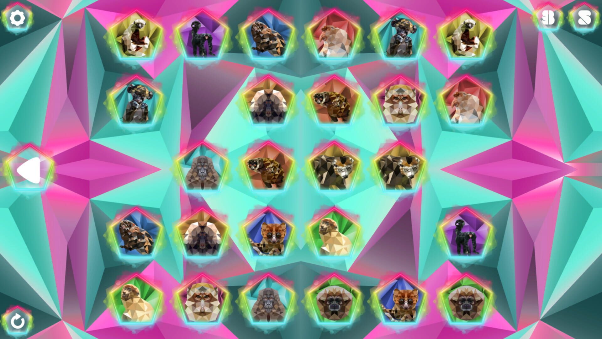 Poly Memory: Primates screenshot 1