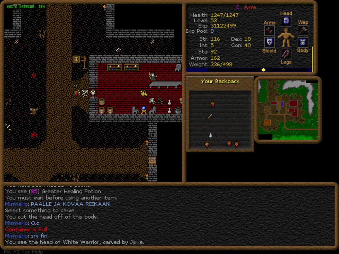 Dransik screenshot 1