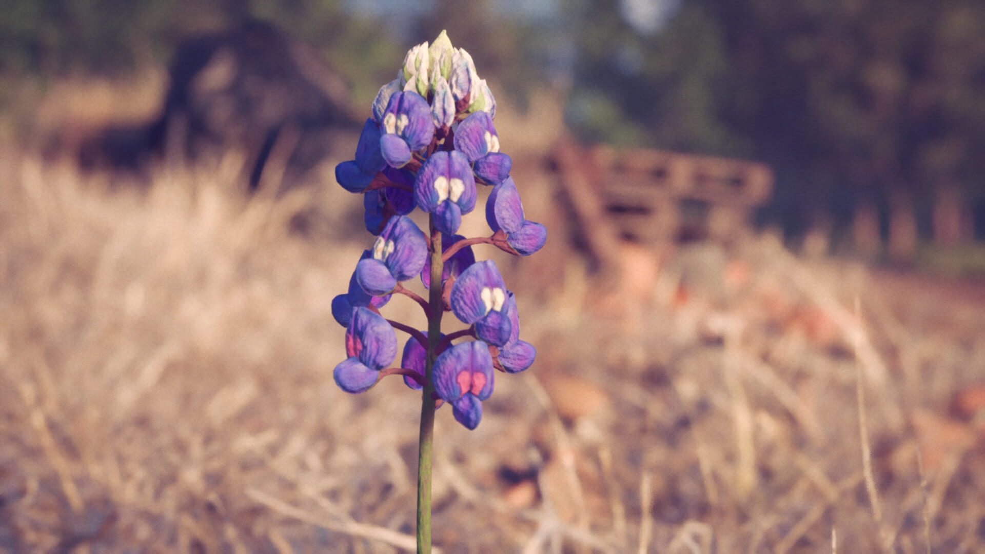 Petals screenshot 1