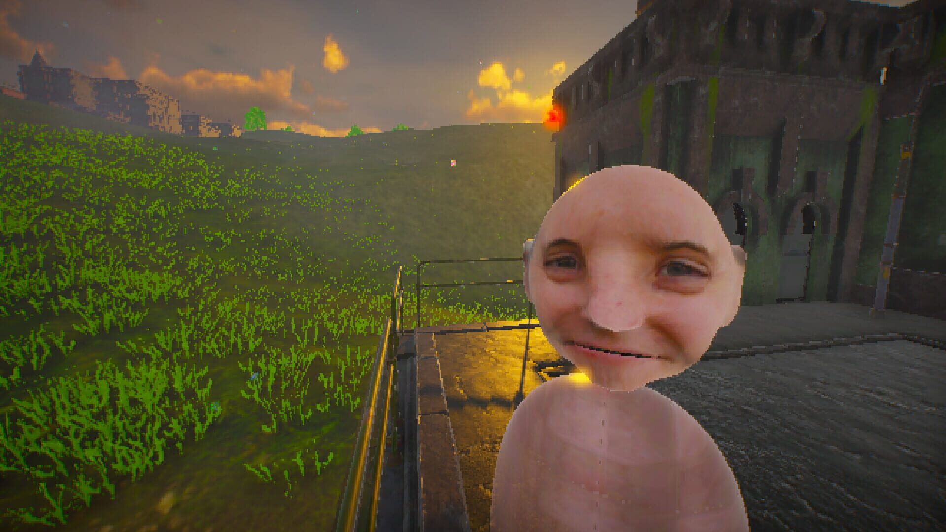 Project Electric Sheep screenshot 1
