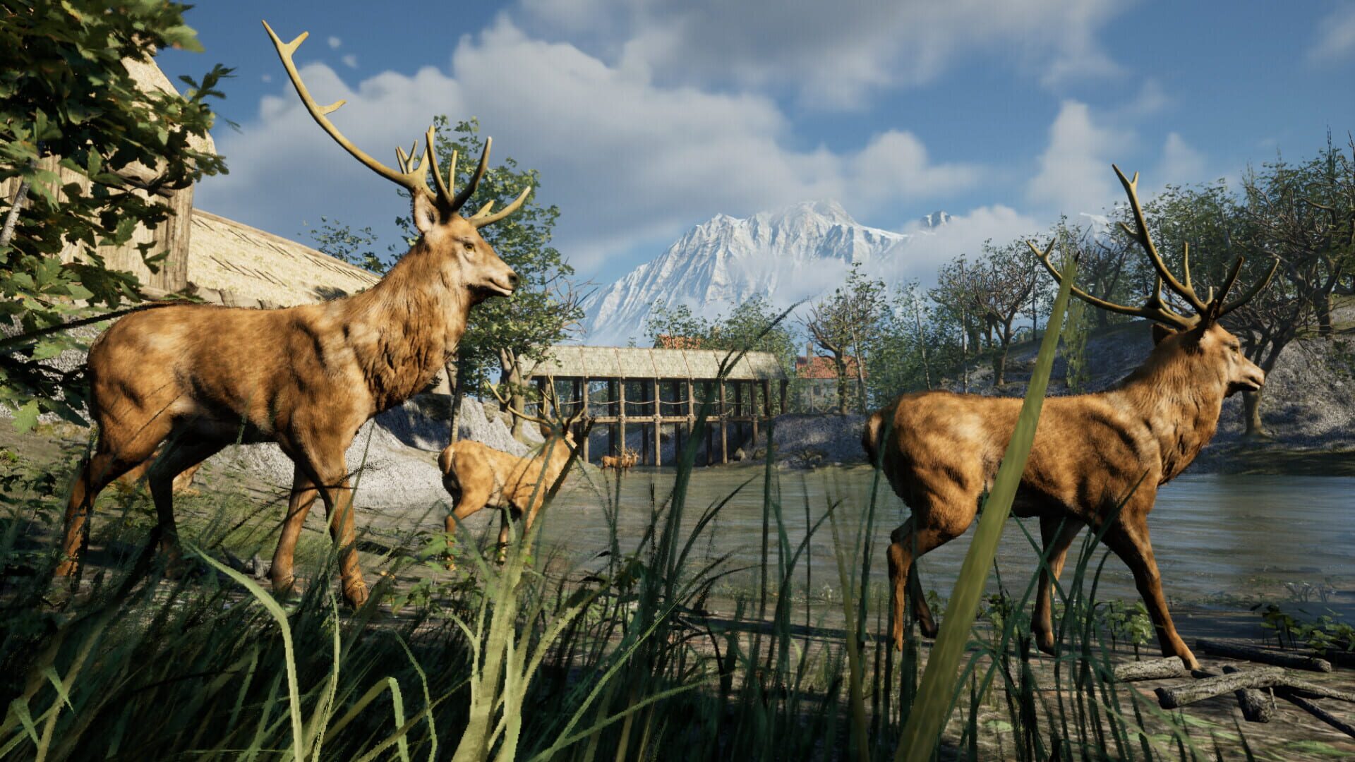 Hüddam screenshot 1