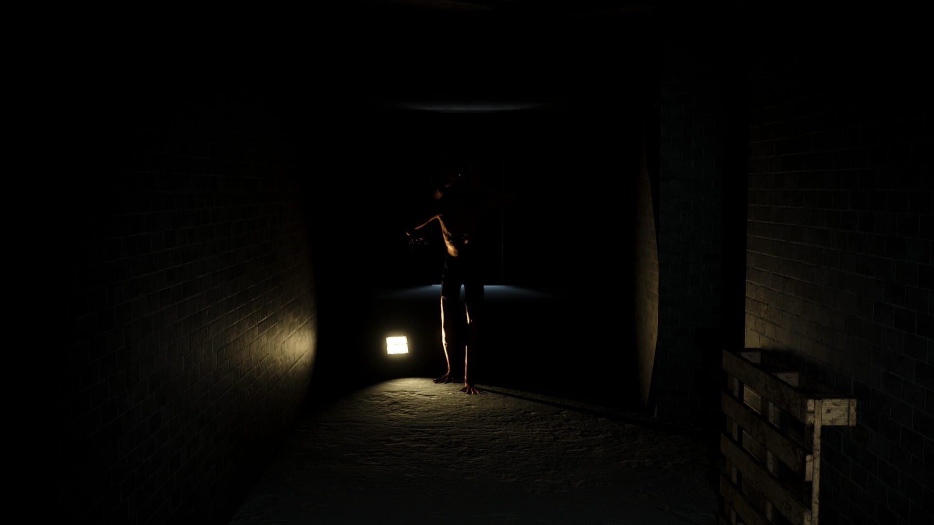 Mind Corridors: Paroniria screenshot 1