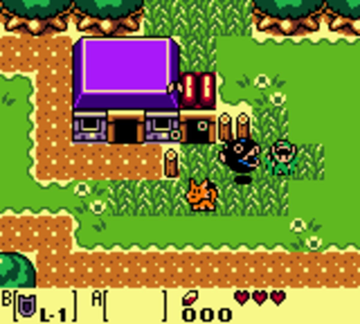 The Legend of Zelda: Link's Awakening DX screenshot 1