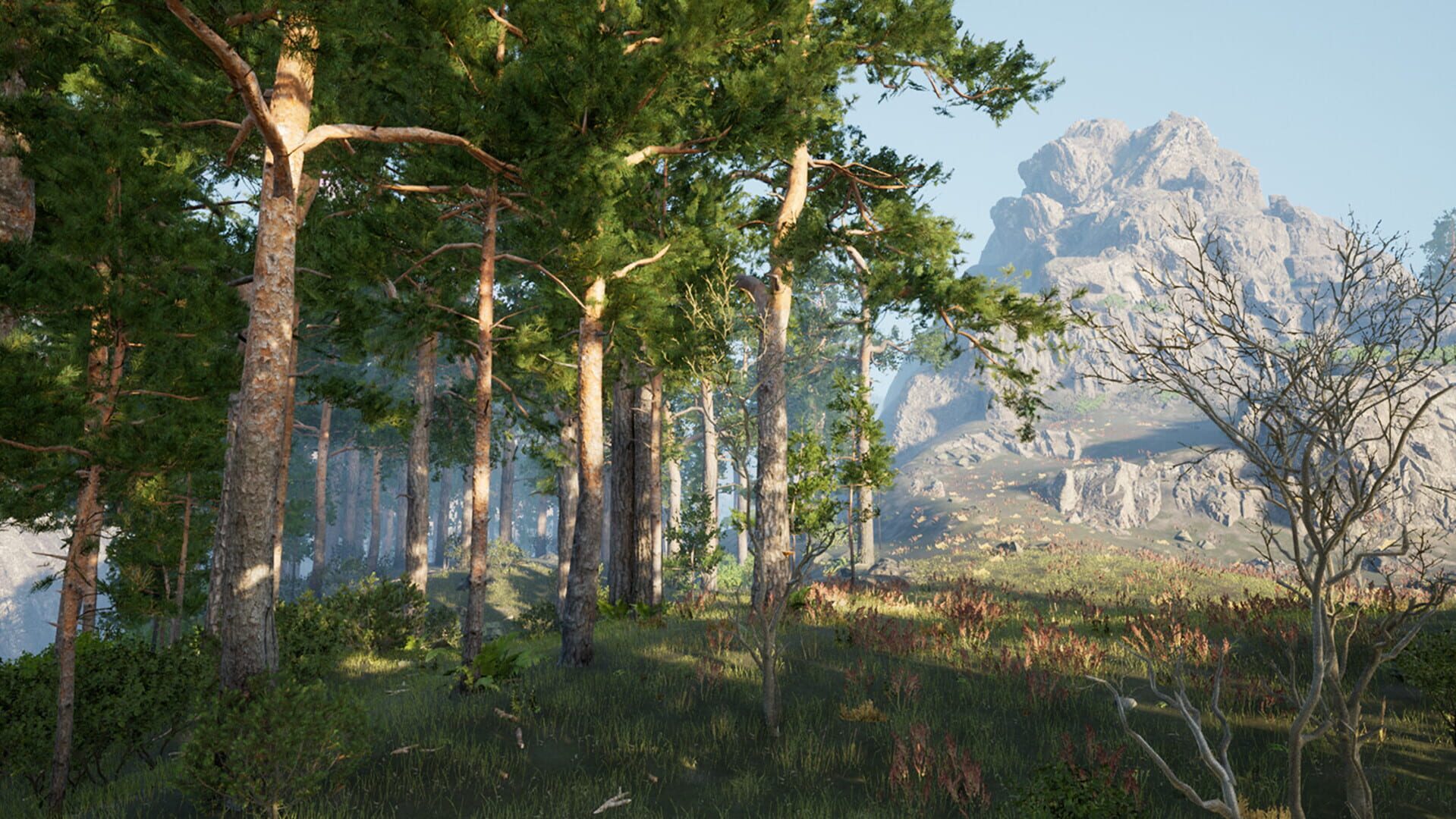 The Archipelago Promise screenshot 1