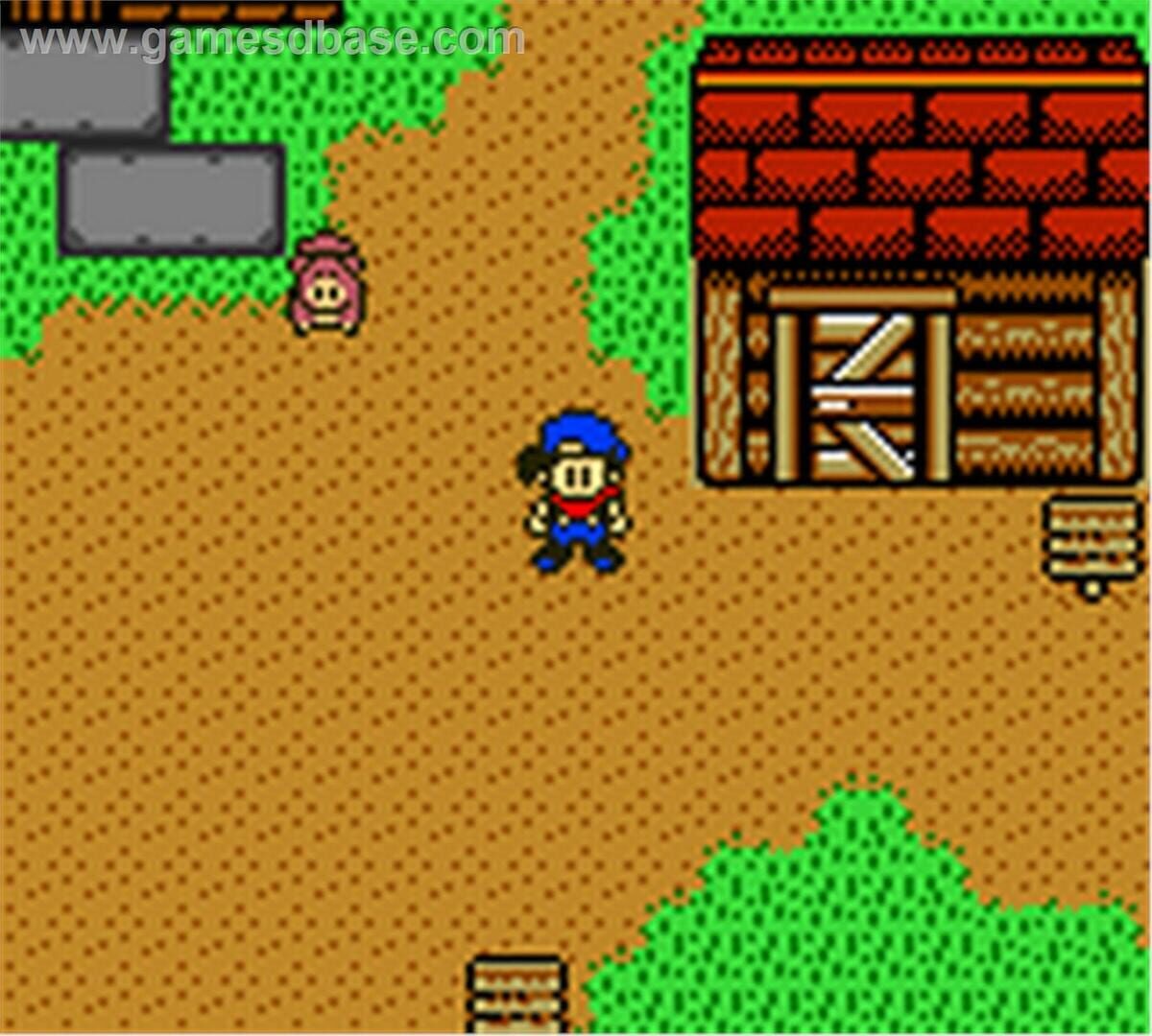Harvest Moon GBC screenshot 1