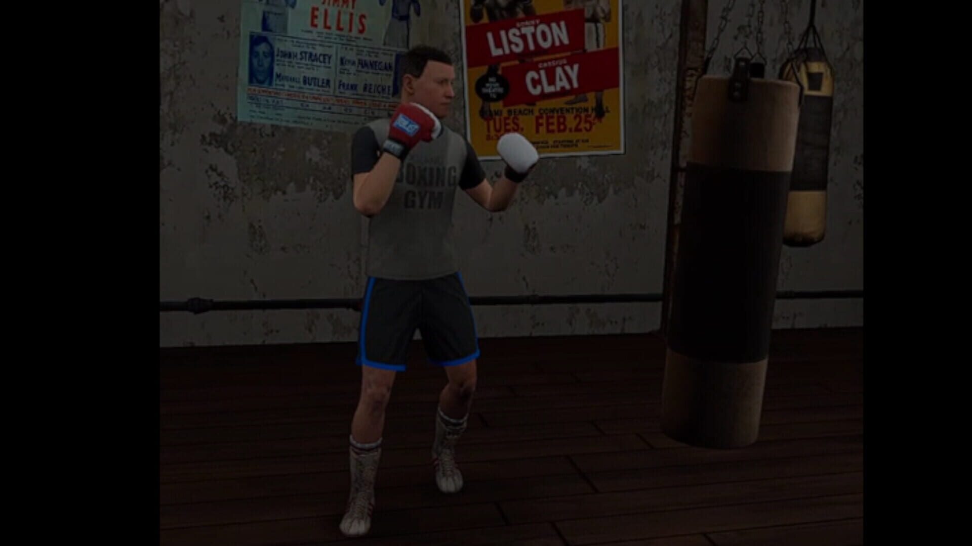 True Boxing VR screenshot 1