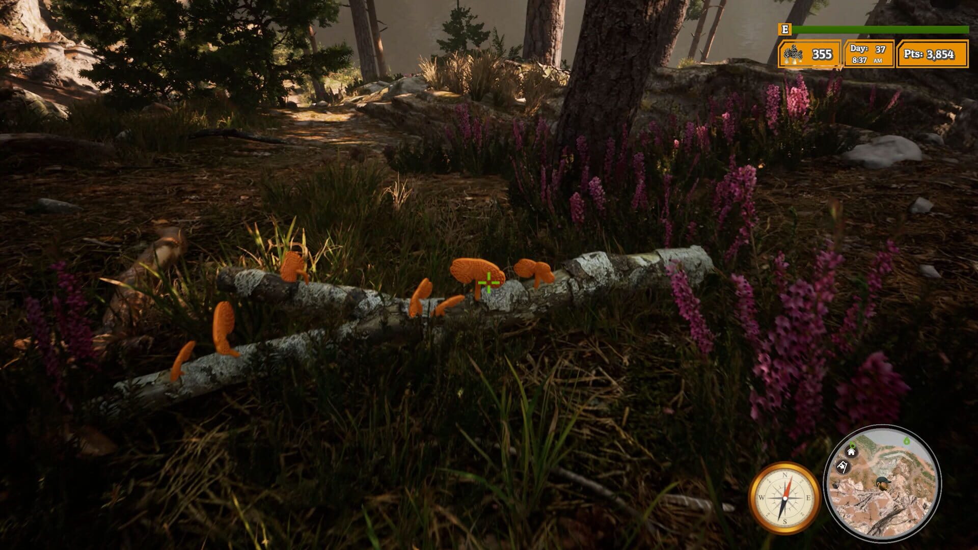 Morels: The Hunt 2 screenshot 1