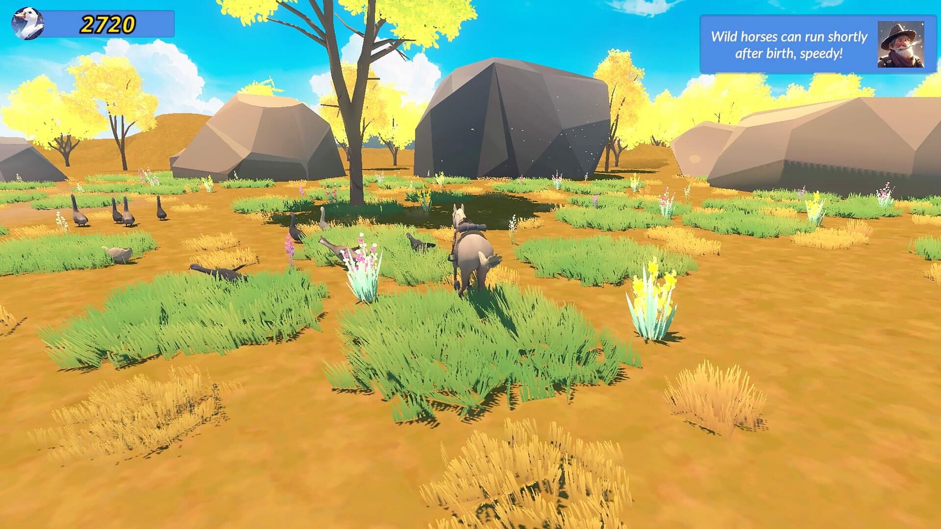 Meadow Gallop screenshot 1