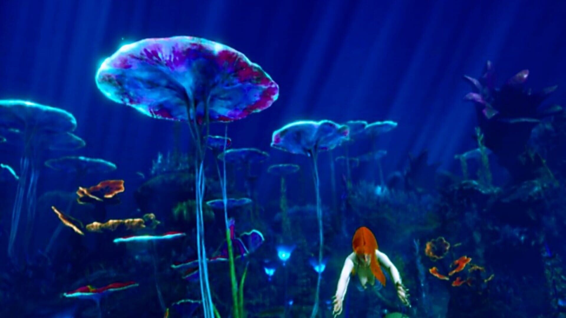 DeepSea Serenity: VR Underwater Trip screenshot 1