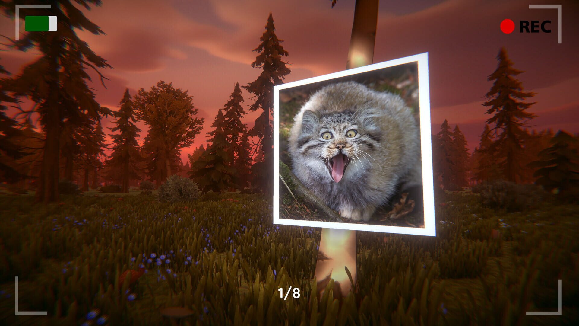 Floppa: The Dark Forest screenshot 1